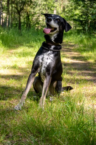 Photo de Xena