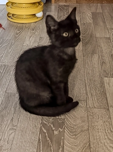 Photo de BLUE