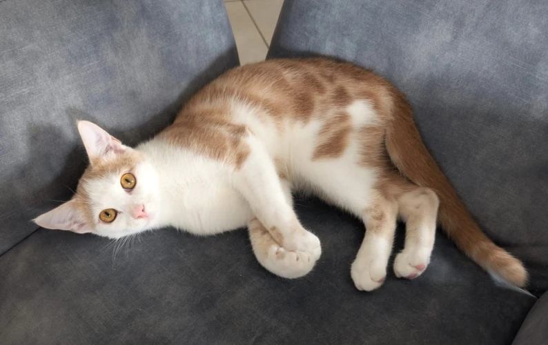 Photo de BOUNTY