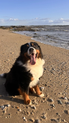 Milo