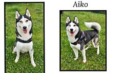 AÏko