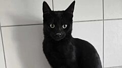 Asmar