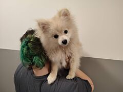 Cody qcn (réservé)