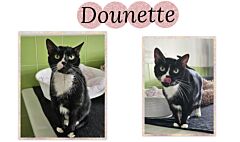 Dounette (réservée)