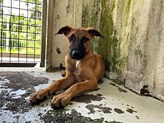 Erwan (reserve)