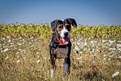 (kim) roxy