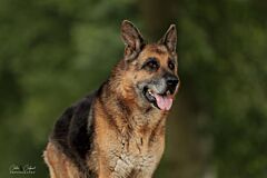 Logan