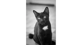Photo de Lucky