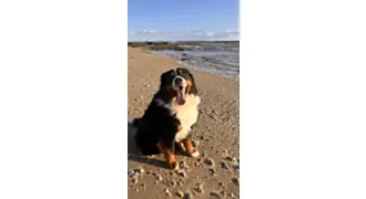 Photo de Milo