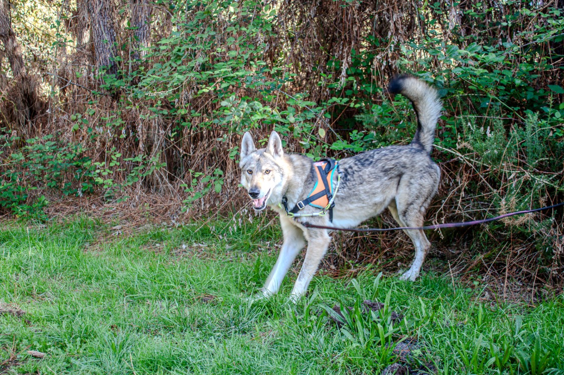 Photo de Alpha