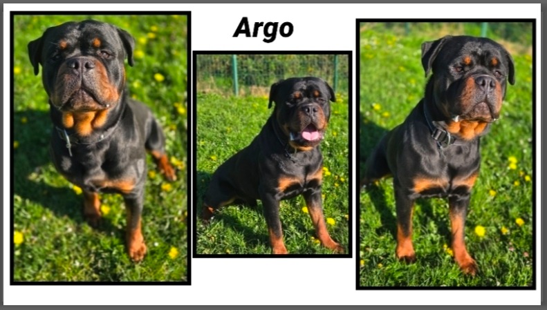 Argo