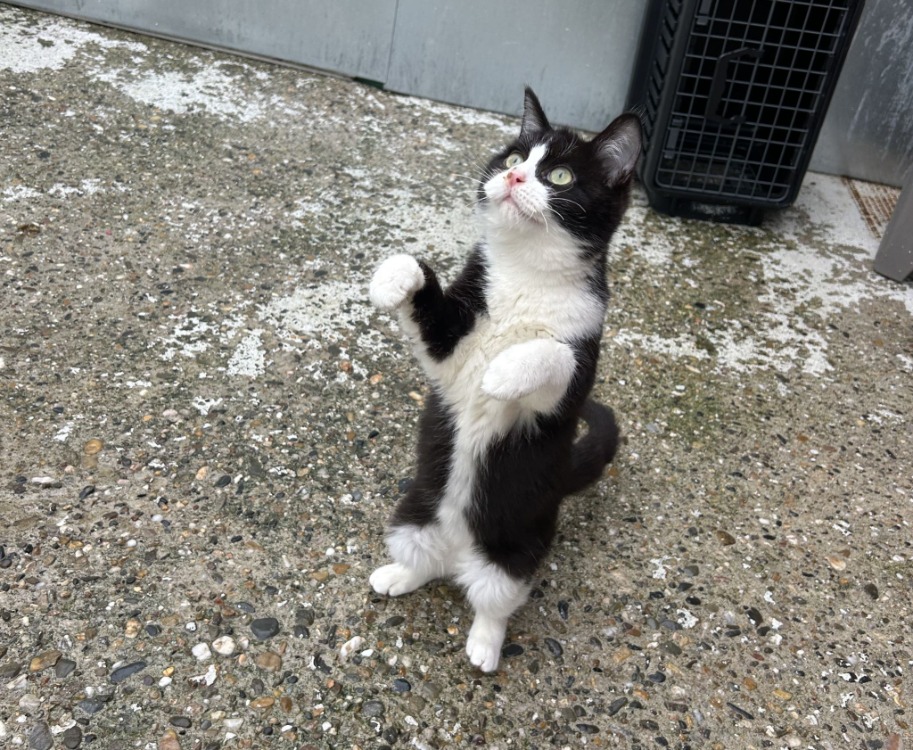 Photo de Asbjorn