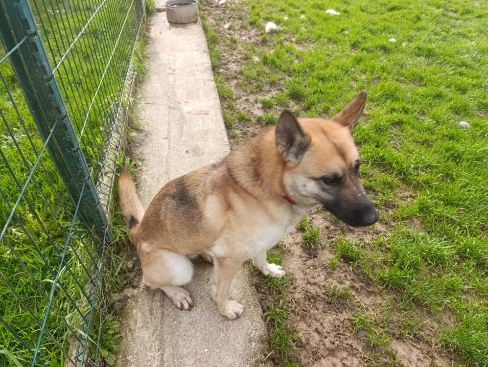 Photo de Athena