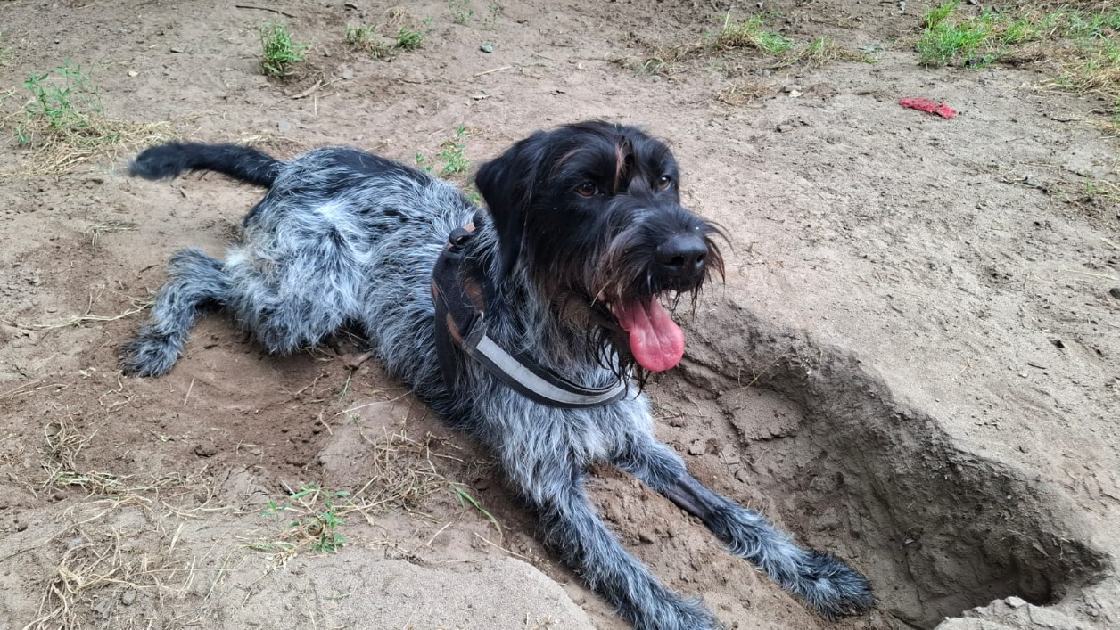 Athos