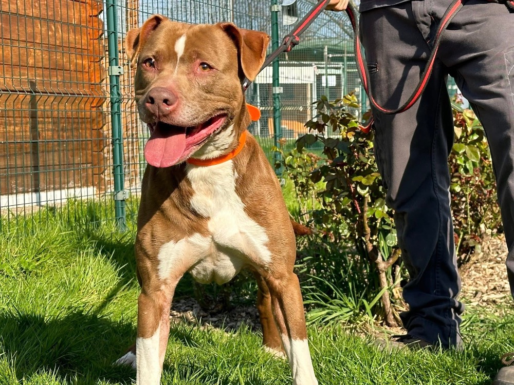 Photo de Bakhoe en sos urgent