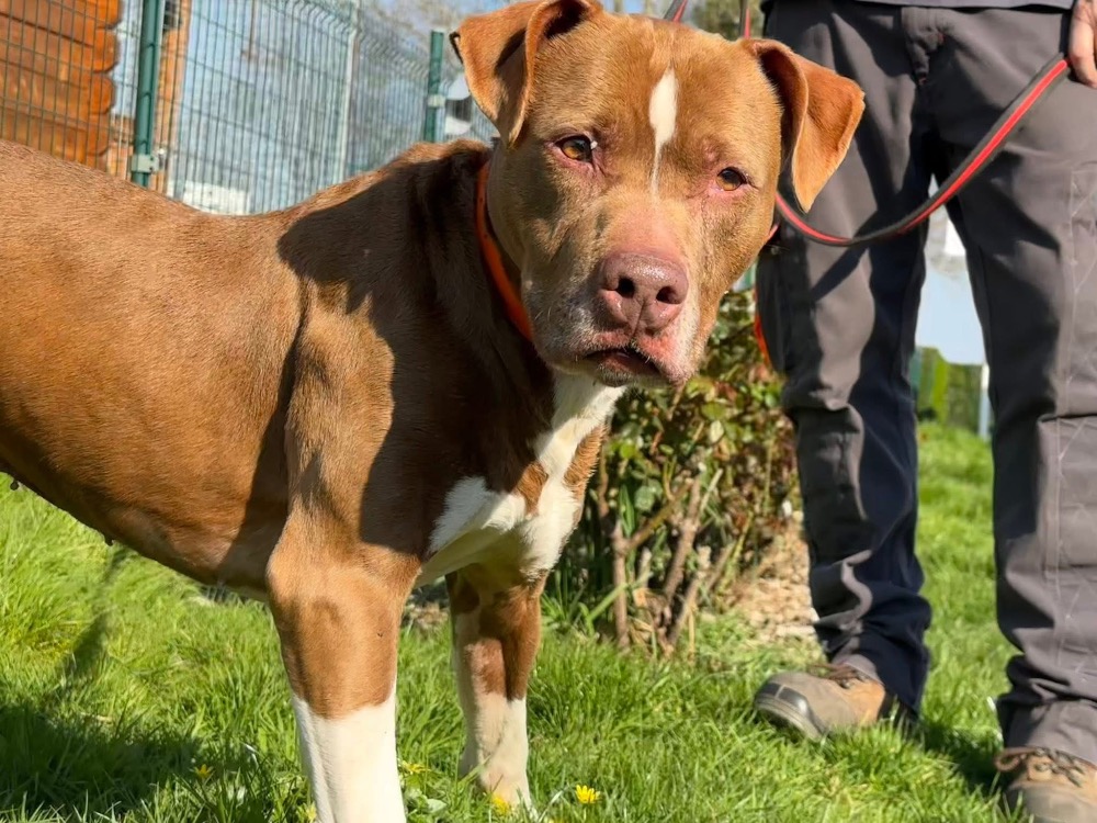 Photo de Bakhoe en sos urgent