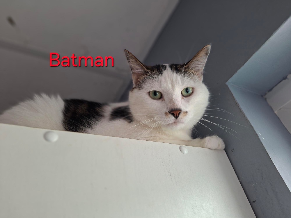 Batman