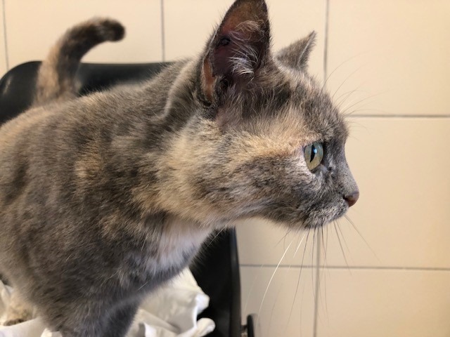 Photo de Bonnie (reservé)