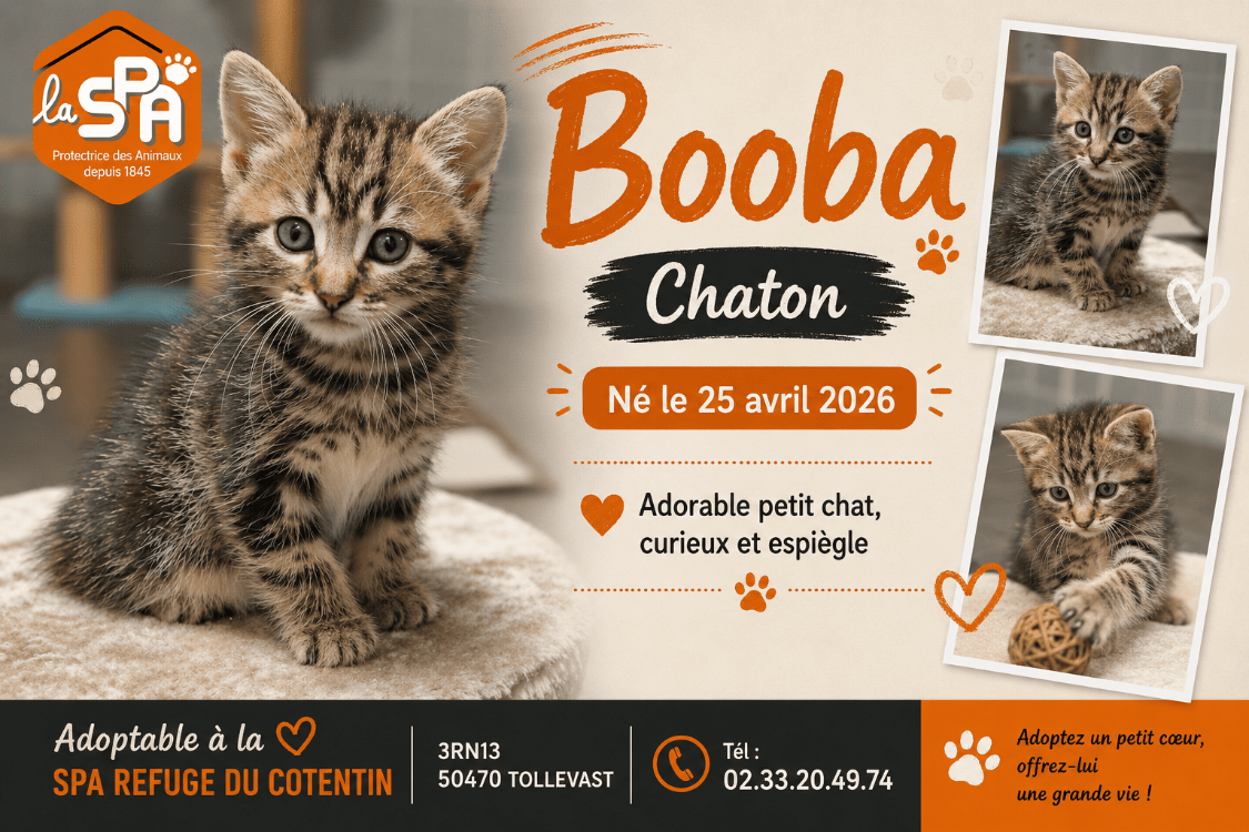 Booba réservé