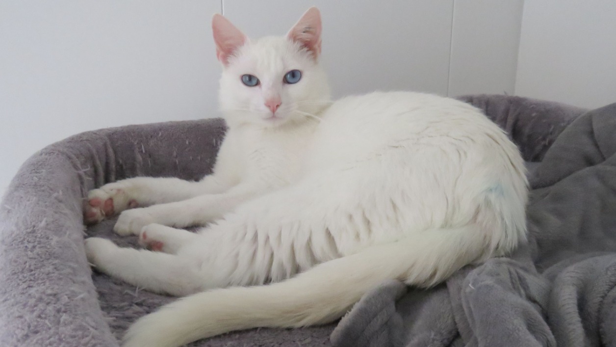 Photo de Bounty