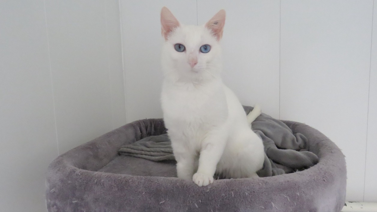 Photo de Bounty