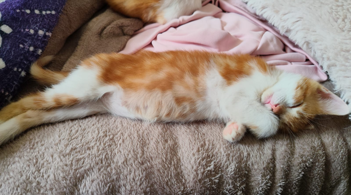 Photo de Bubble