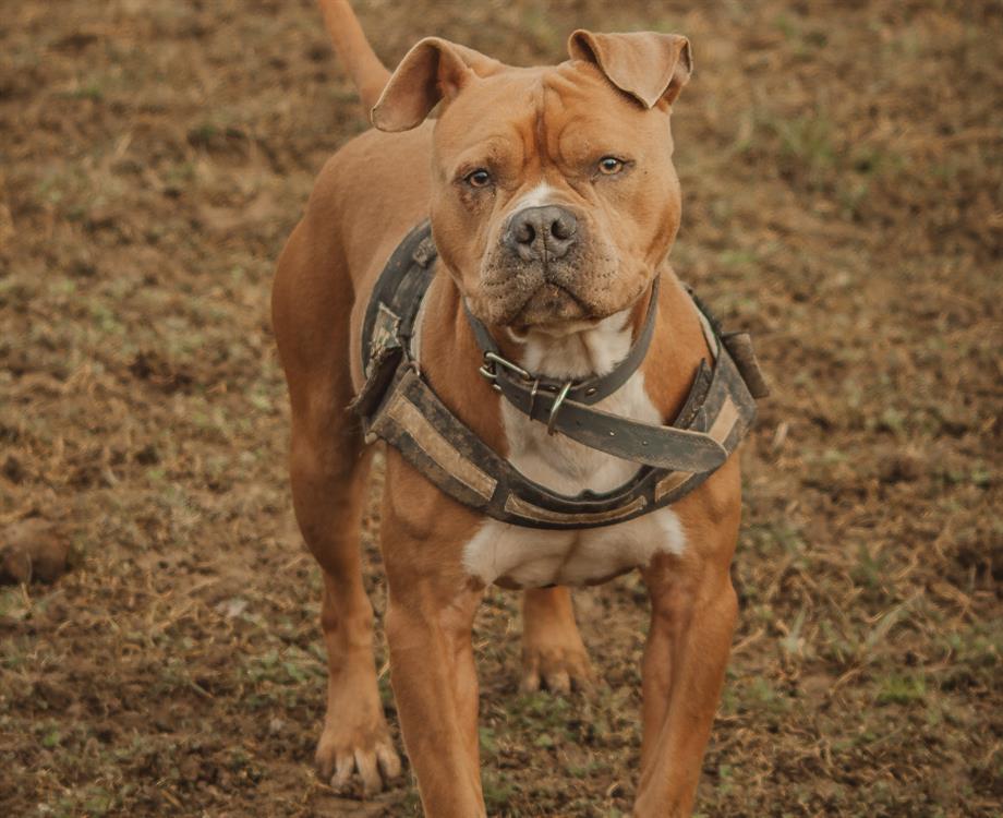 Photo de Cash