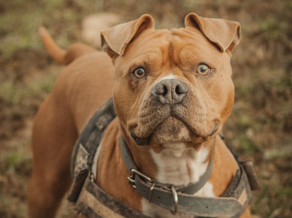 Photo de Cash