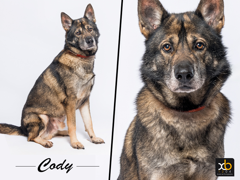 Photo de Cody paa24093