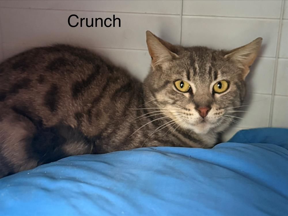 Crunch