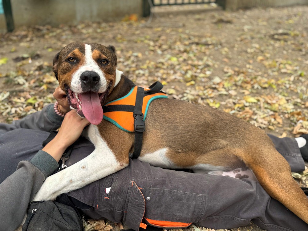 Eli (réservé) oaa19852