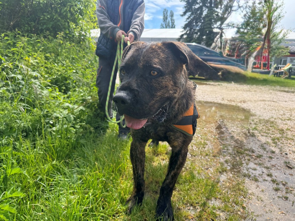 Photo de Elve oaa20020