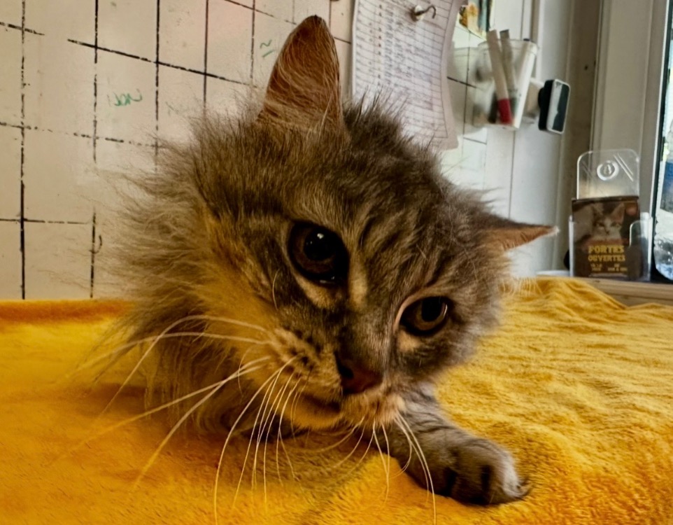 Photo de Etincelle