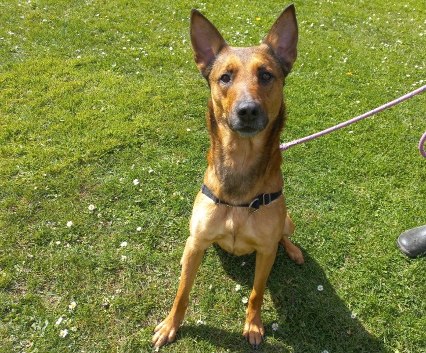 Flash