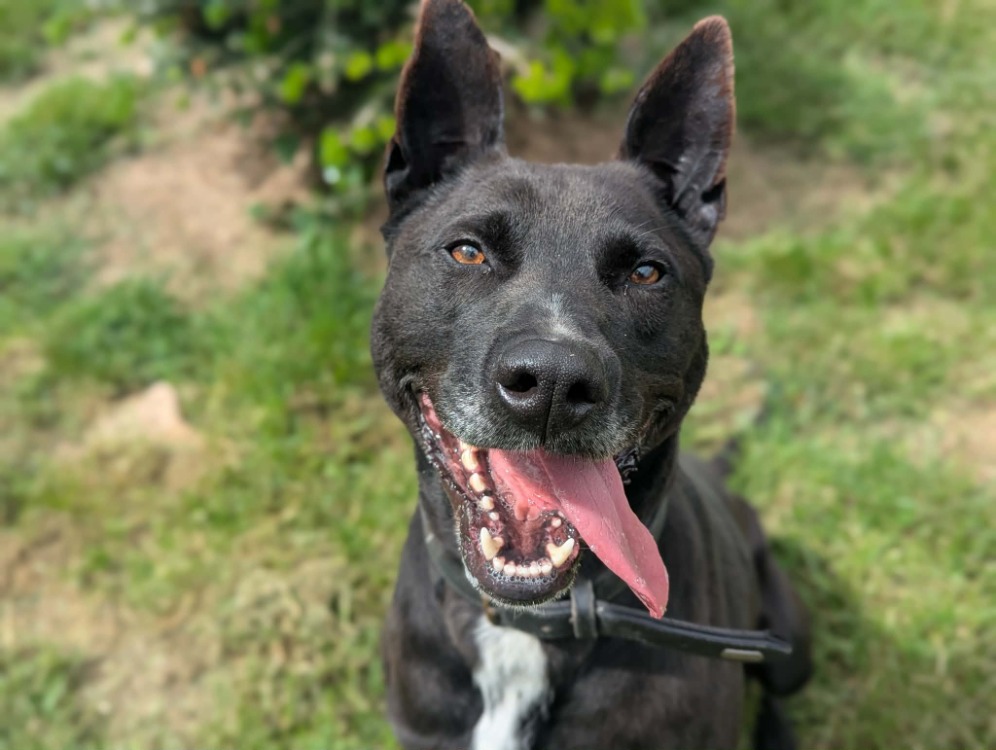 Photo de Jack