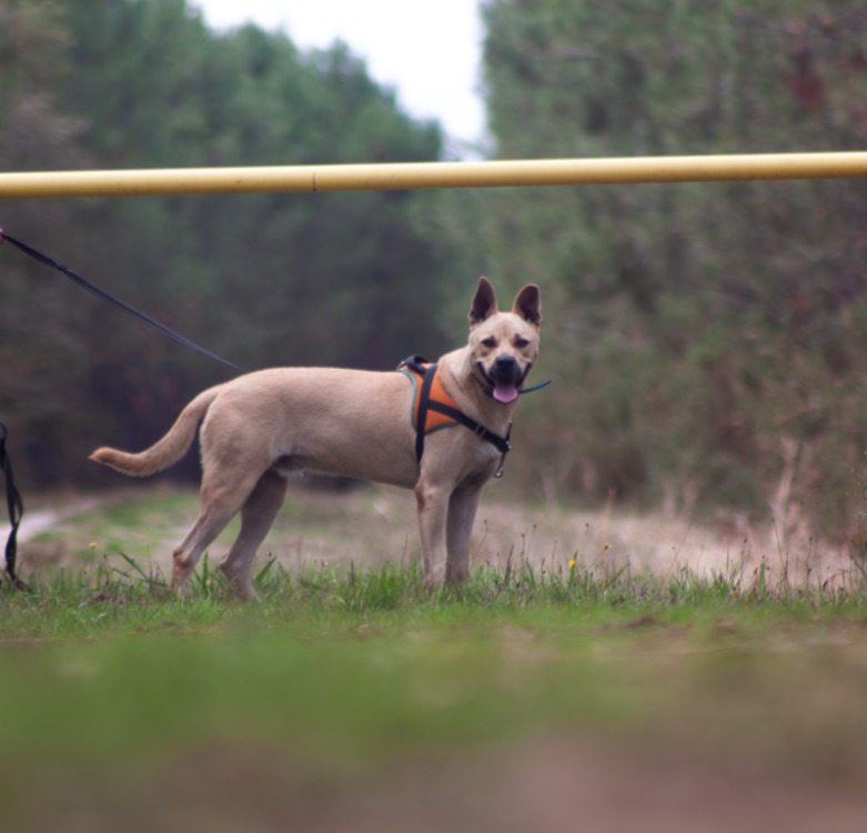 Photo de Jumpy