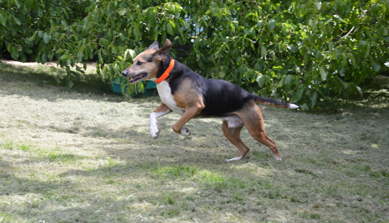 Photo de Kalou vaa