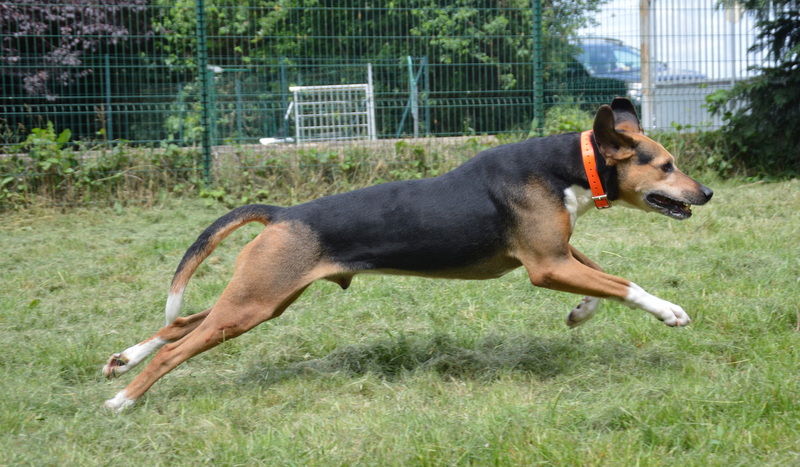 Photo de Kalou vaa