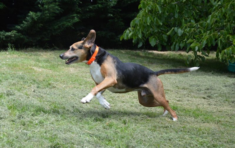 Photo de Kalou vaa
