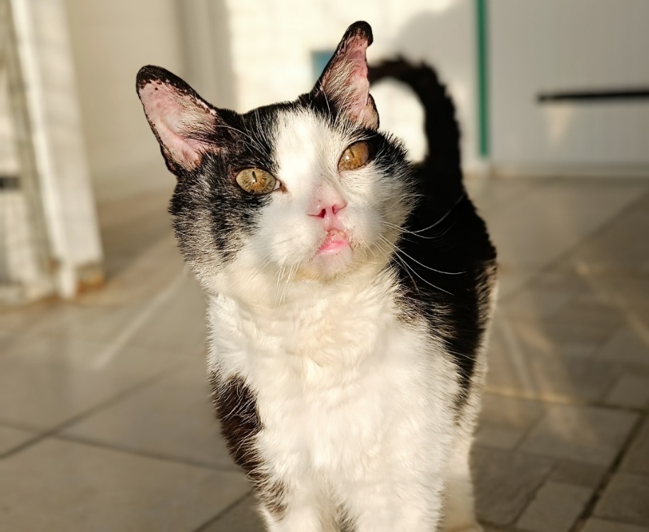 Photo de Kerby
