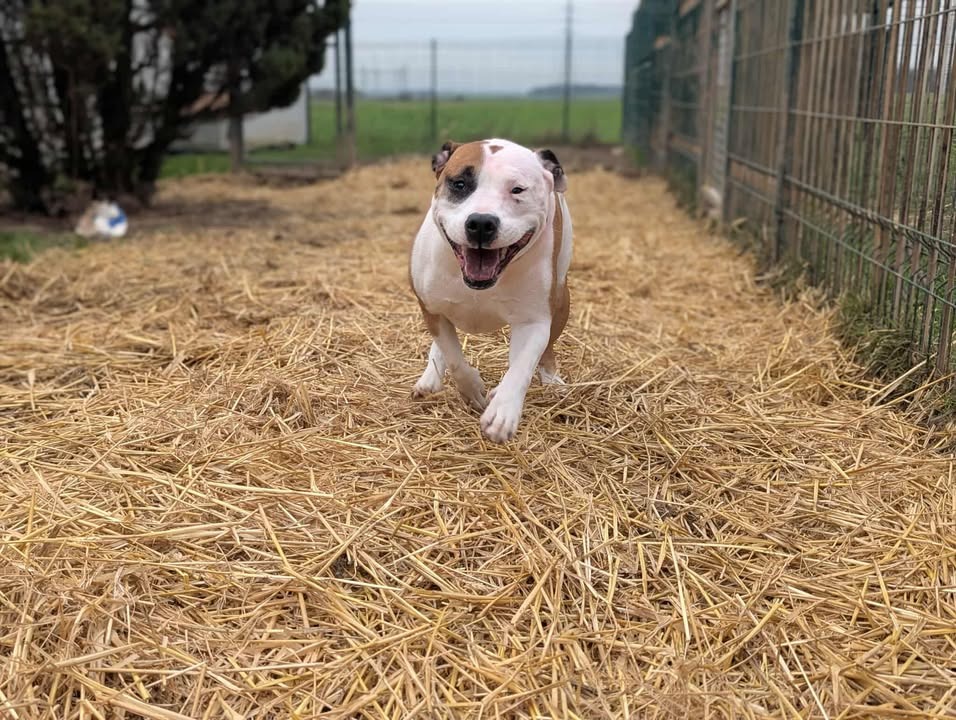 Photo de Laiko