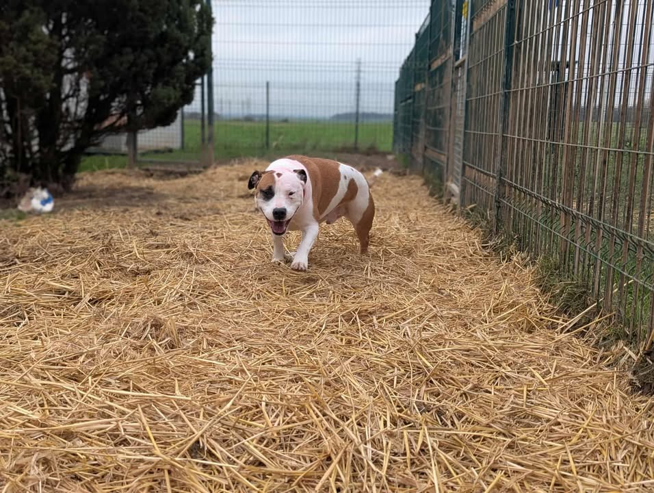 Photo de Laiko