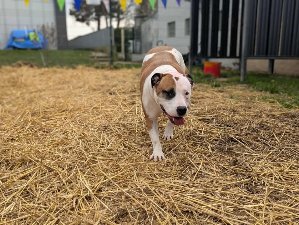 Photo de Laiko
