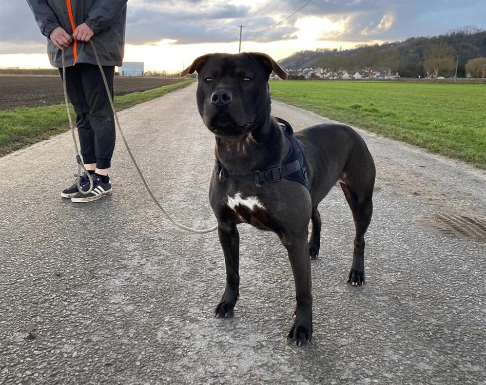 Photo de Lola