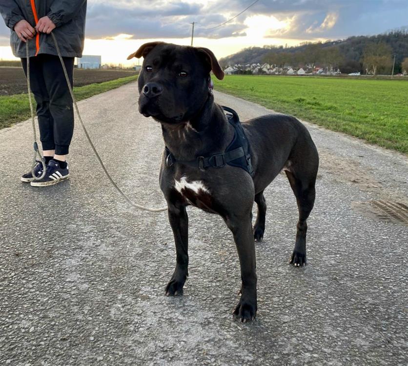 Photo de Lola