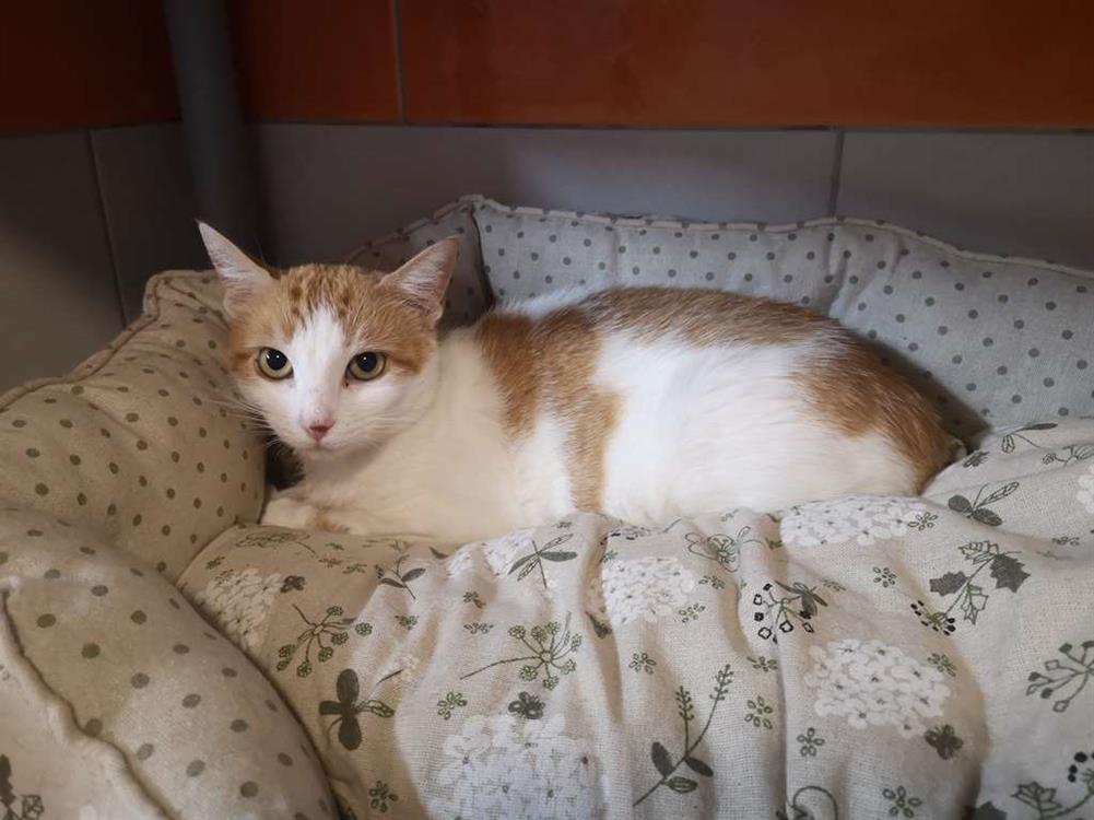 Photo de Lulu