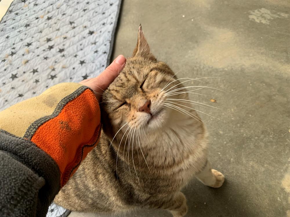 Photo de Lynxou [fiv+]