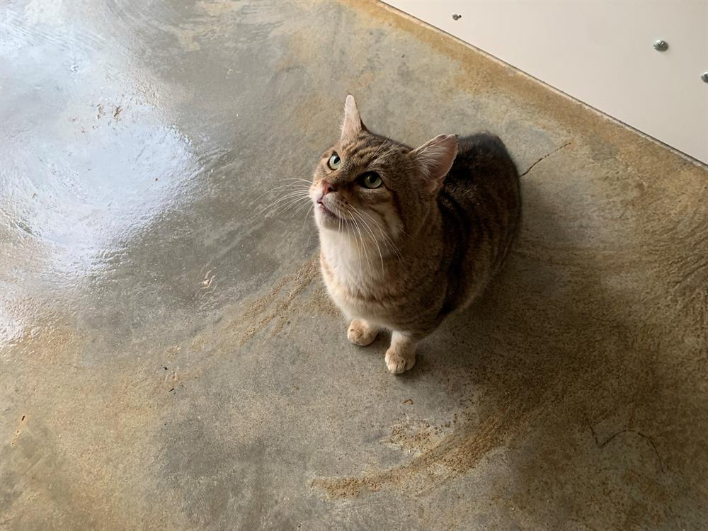 Photo de Lynxou [fiv+]