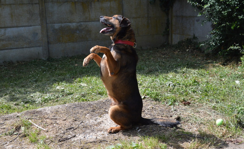 Photo de MaloÏ