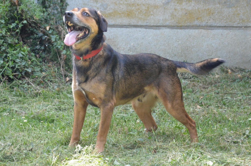 Photo de MaloÏ